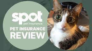 Pet insurance reviews
