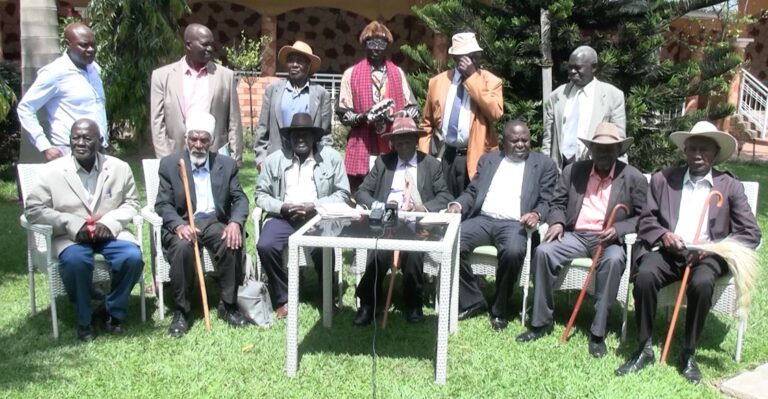 WhatsApp Image 2025-11-11 at 15.59.02