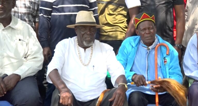 WhatsApp Image 2025-12-14 at 11.03.36